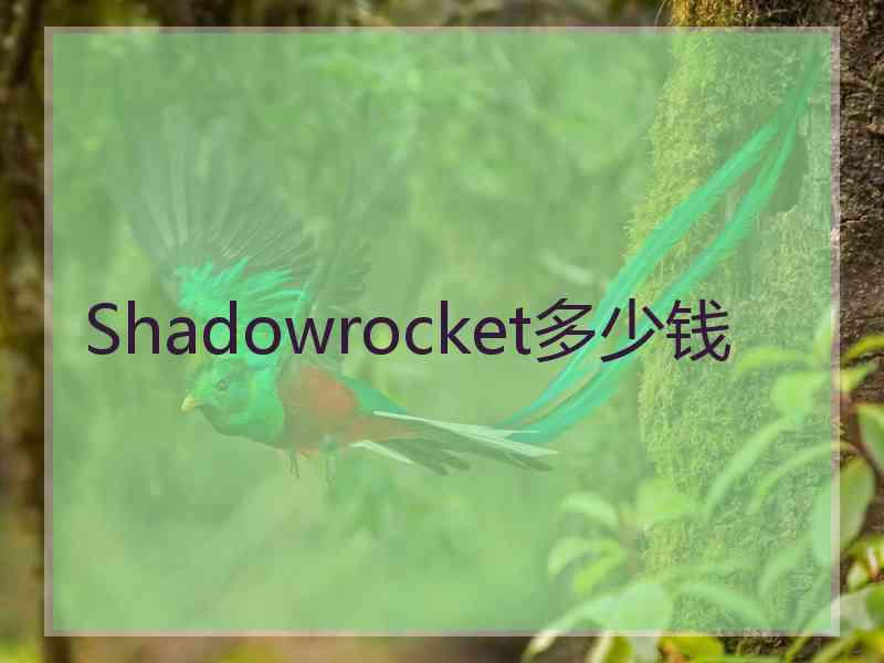 Shadowrocket多少钱 Shadowrocket多少钱