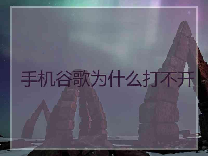 手机谷歌为什么打不开